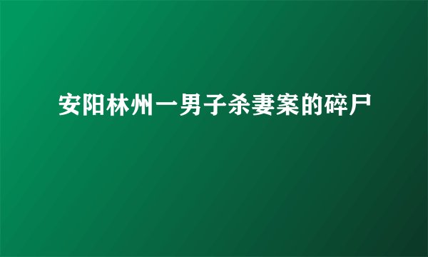 安阳林州一男子杀妻案的碎尸