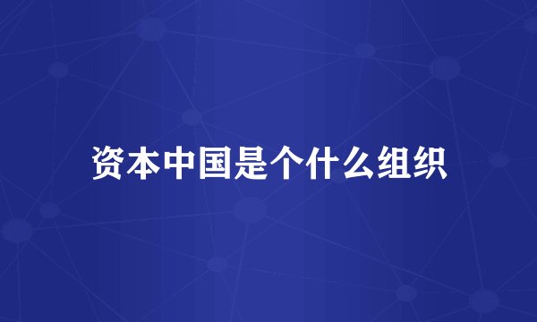 资本中国是个什么组织