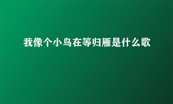 我像个小鸟在等归雁是什么歌