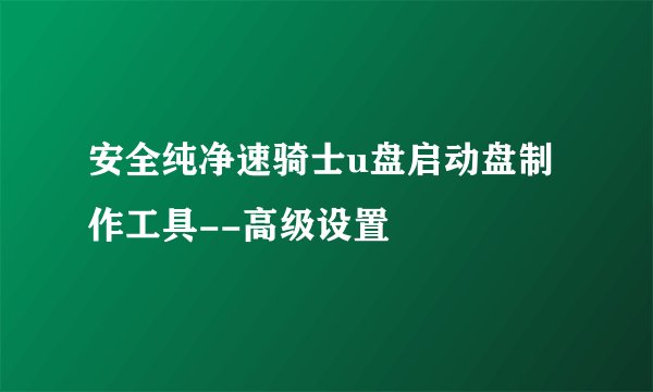安全纯净速骑士u盘启动盘制作工具--高级设置