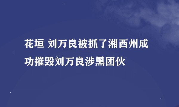 花垣 刘万良被抓了湘西州成功摧毁刘万良涉黑团伙