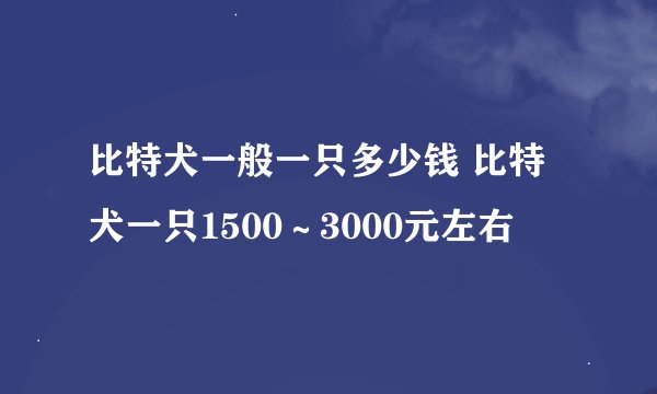 比特犬一般一只多少钱 比特犬一只1500～3000元左右
