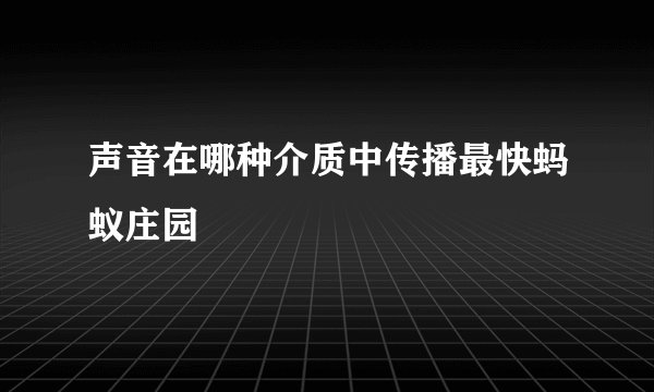 声音在哪种介质中传播最快蚂蚁庄园