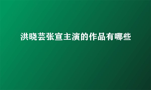洪晓芸张宣主演的作品有哪些
