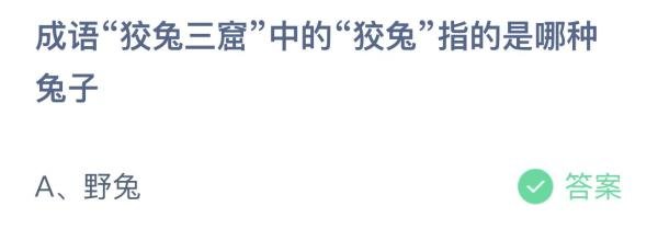 成语狡兔三窟中的狡兔指哪种兔子? 蚂蚁答案