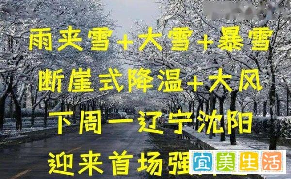 雨夹雪！大雪！暴雪！还有寒潮和大风！辽宁沈阳迎来首场强降雪！