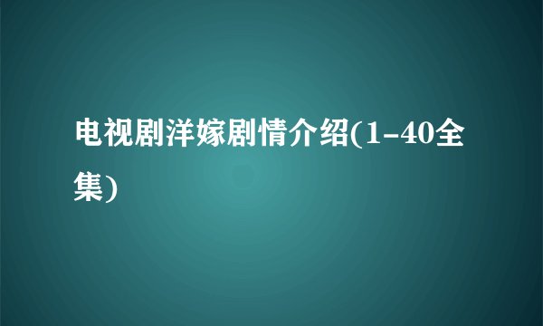 电视剧洋嫁剧情介绍(1-40全集)