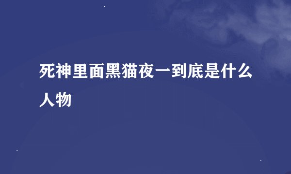 死神里面黑猫夜一到底是什么人物