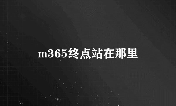 m365终点站在那里