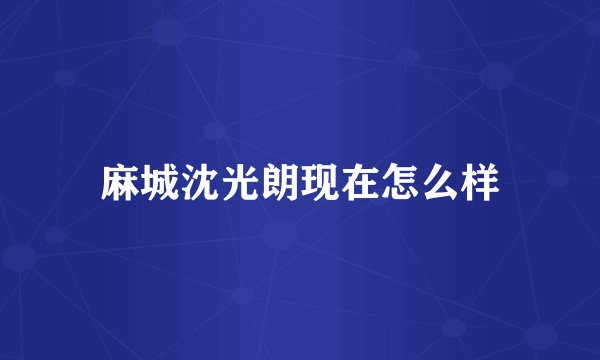 麻城沈光朗现在怎么样