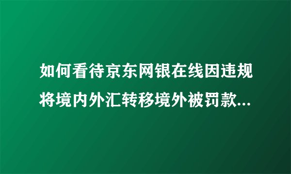 如何看待京东网银在线因违规将境内外汇转移境外被罚款 2943 万？