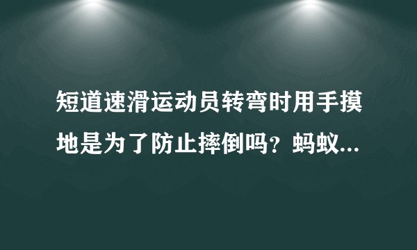 短道速滑运动员转弯时用手摸地是为了防止摔倒吗？蚂蚁庄园答案