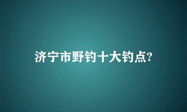 济宁市野钓十大钓点?