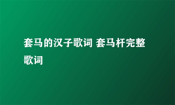 套马的汉子歌词 套马杆完整歌词