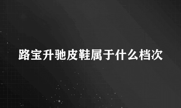 路宝升驰皮鞋属于什么档次