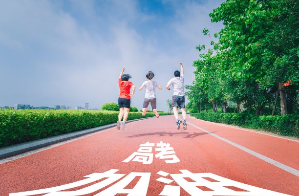 2023体育生本科分数线