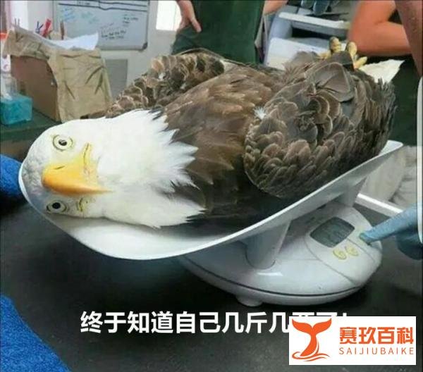 中美高层战略对话,中方这三个暴击令世人极度舒适!
