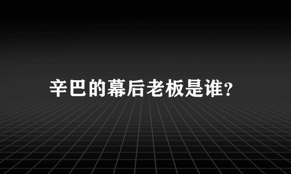 辛巴的幕后老板是谁？