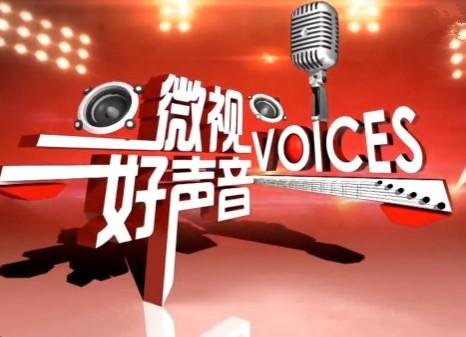 微视好声音的节目主持人