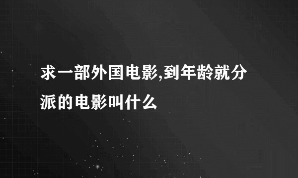 求一部外国电影,到年龄就分派的电影叫什么