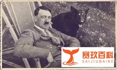 历史上的今天10月14日,艾森豪威尔出生,希特勒退出国际联盟,吕正操率部起义,世界标准日确立