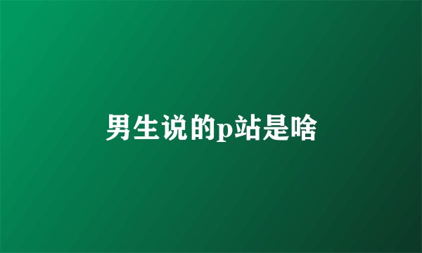 男生说的p站是啥
