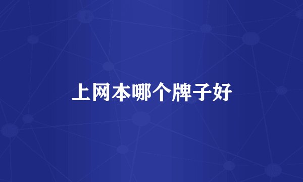 上网本哪个牌子好