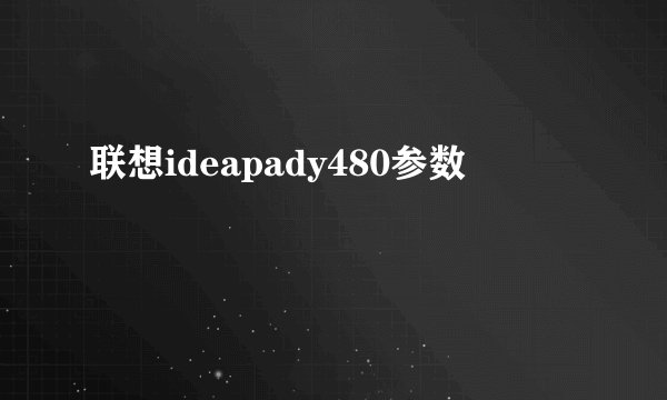 联想ideapady480参数