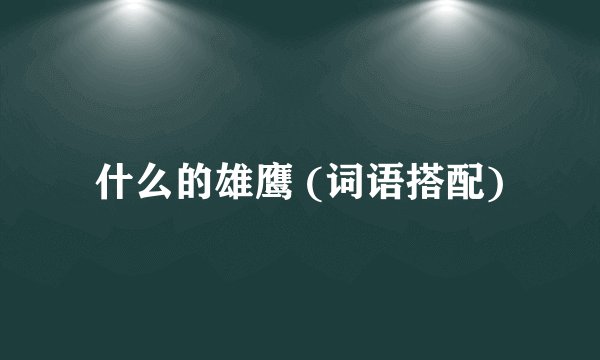 什么的雄鹰 (词语搭配)