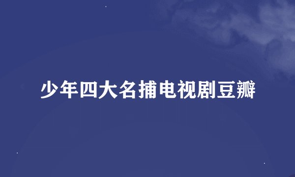 少年四大名捕电视剧豆瓣