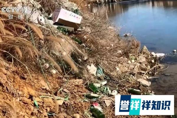海参水“深”!养海参乱象:一个池塘放三四箱敌敌畏