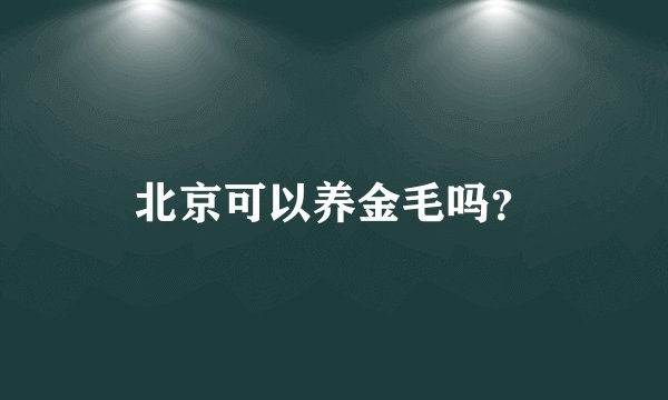 北京可以养金毛吗？