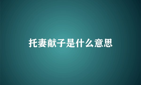 托妻献子是什么意思