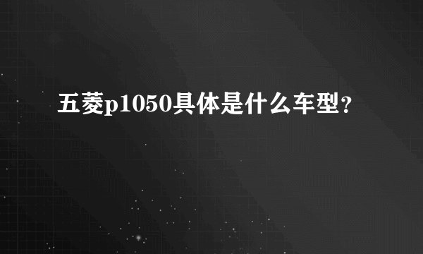 五菱p1050具体是什么车型?