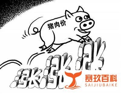 猪肉涨价，“三月不知肉味”是什么样的一种体验？网友评价亮了！