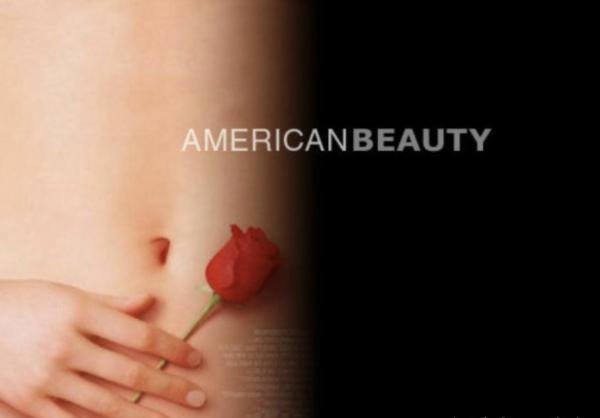 American Beauty--美国丽人？ 美国蔷薇？