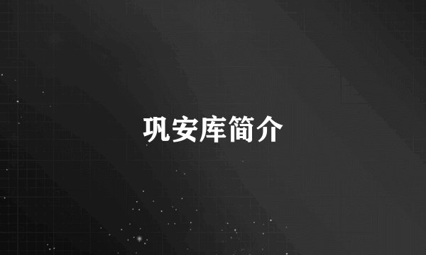 巩安库简介