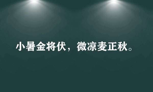 小暑金将伏，微凉麦正秋。