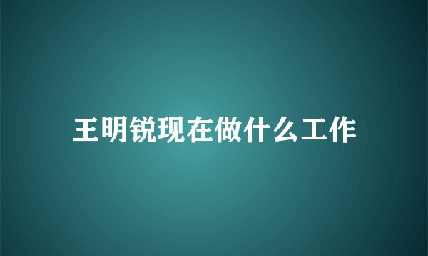 王明锐现在做什么工作