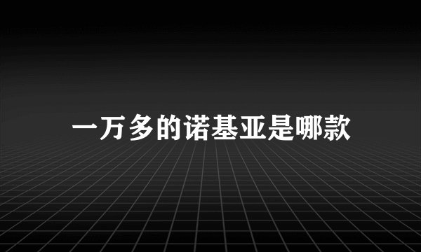 一万多的诺基亚是哪款