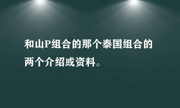和山P组合的那个泰国组合的两个介绍或资料。