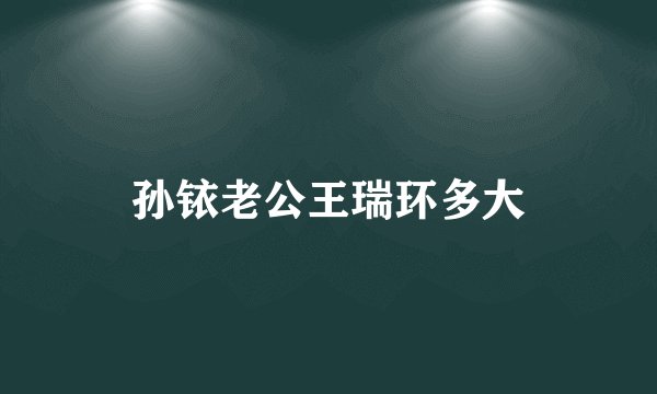 孙铱老公王瑞环多大