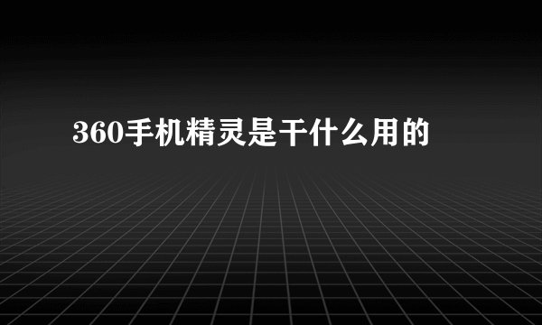 360手机精灵是干什么用的