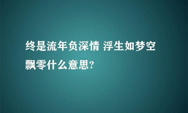 终是流年负深情 浮生如梦空飘零什么意思?