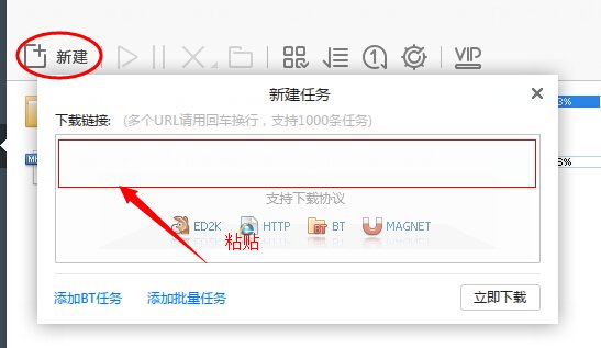 皇家反千组国语迅雷下载