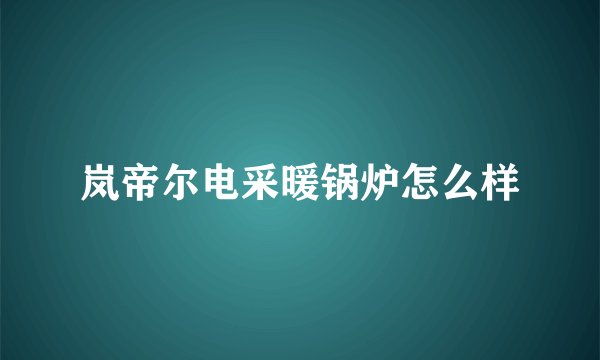 岚帝尔电采暖锅炉怎么样