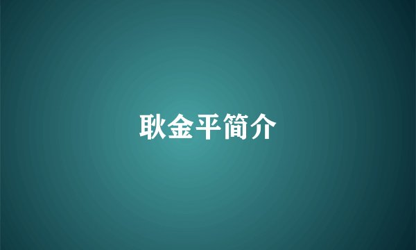 耿金平简介