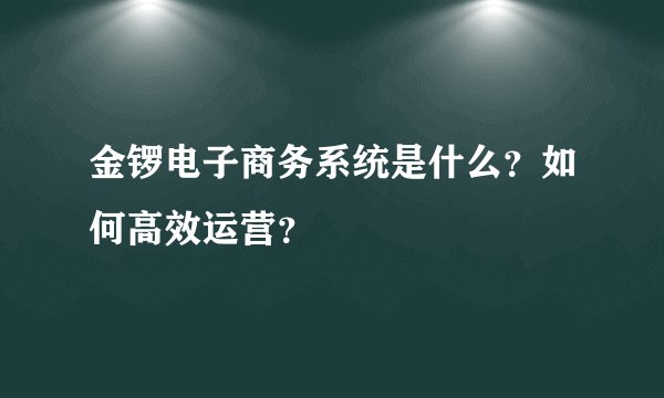 金锣电子商务系统是什么？如何高效运营？