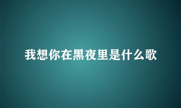 我想你在黑夜里是什么歌