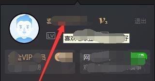 爱奇艺VIP会员账号共享如何设置？